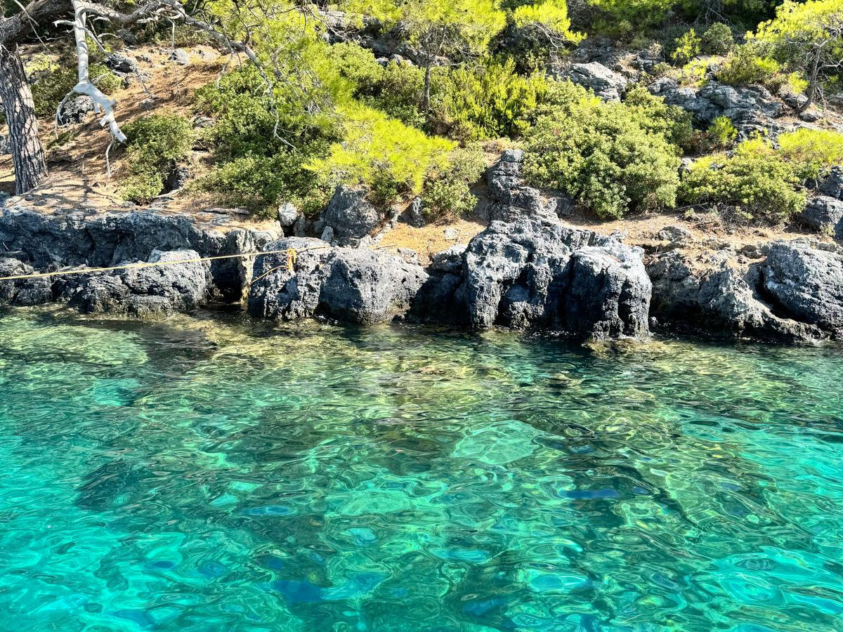 Tur Anları